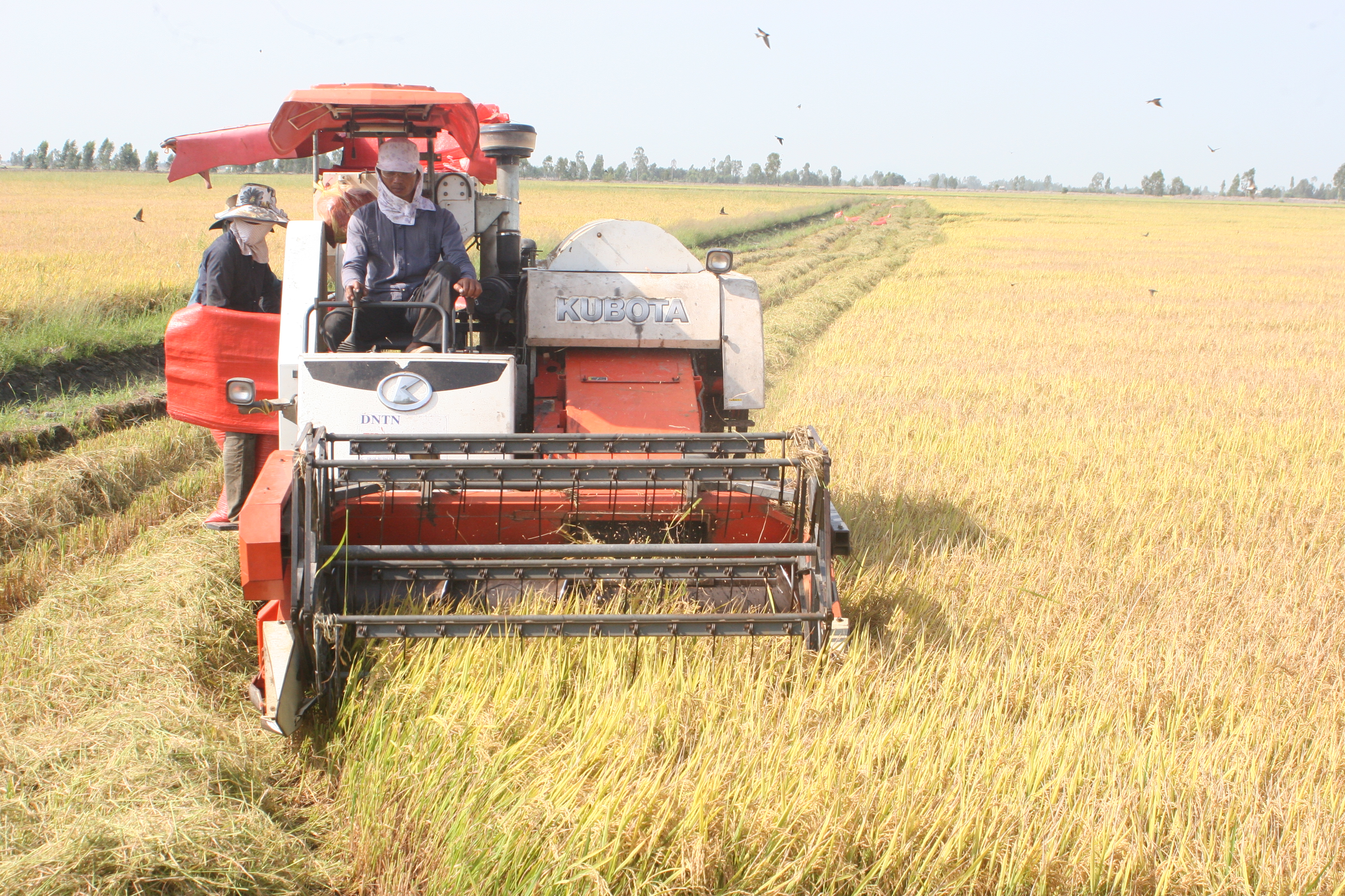 Bà con nông dân xã Mỹ Lâm đưa cơ giới hóa vào sản xuất nông nghiệp.JPG